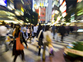 Small decorative image Small decorative image